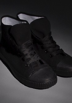 Plimsoll shoe