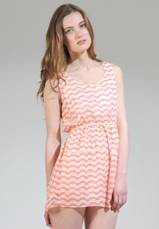 Zebra Stripe Dress