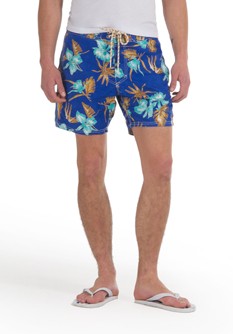 Natsumi Shorts