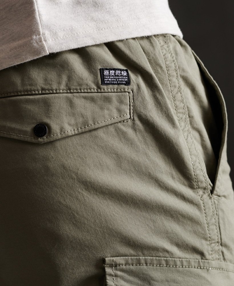 superdry worldwide cargo pants
