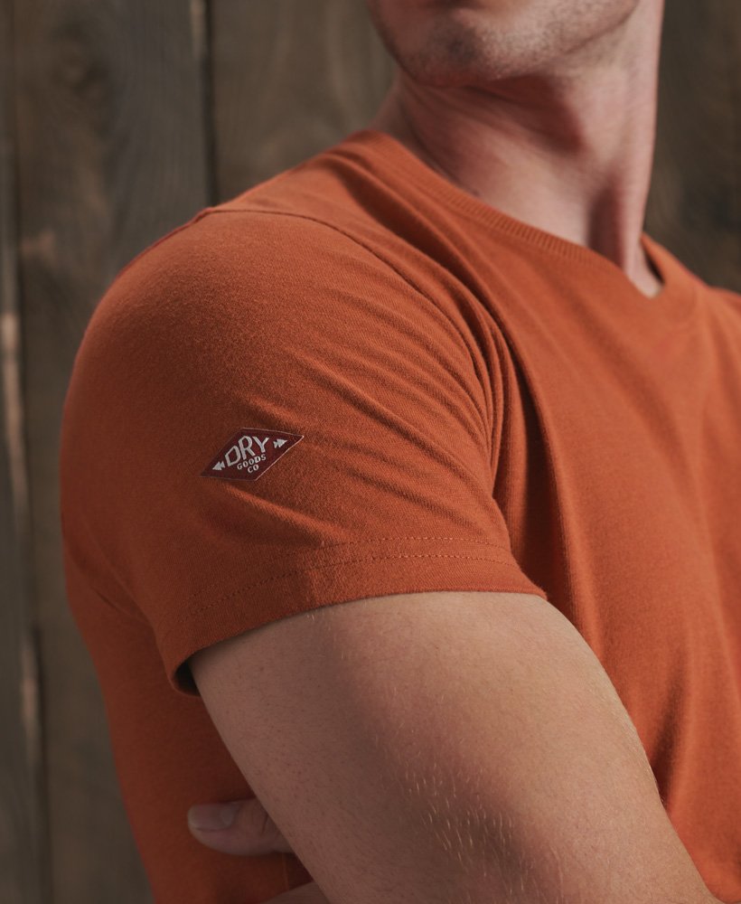 Superdry Core Logo High Peaks T-Shirt 2