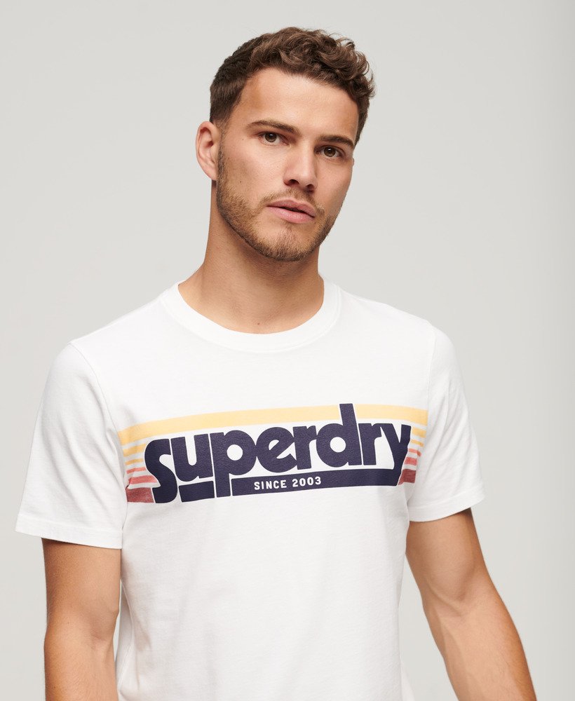 Men's Sale Terrain Striped Logo T-Shirt in Optic | Superdry UK