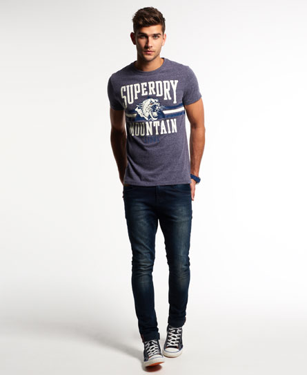 Mens - Mountain Lions T-shirt in Indigo | Superdry